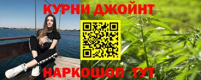 сатива Краснокаменск