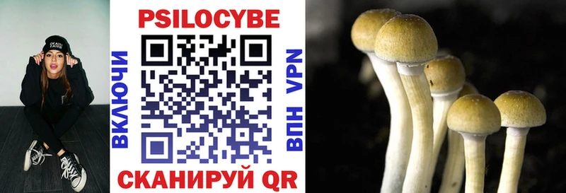 цена Кубинка Галлюциногенные грибы MAGIC MUSHROOMS