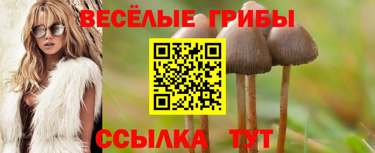 Псилоцибиновые грибы ЛСД Кубинка