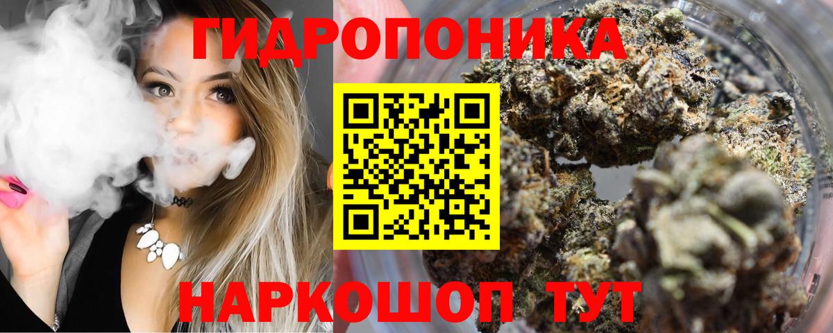 Канабис планчик Кубинка